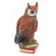 Vienna Bronze Cold Painted Solid Bronze Owl on Book Figurine 