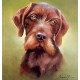 Oil Painting By Jozsef Csiszar – Fox Terrier Dog Portrait 